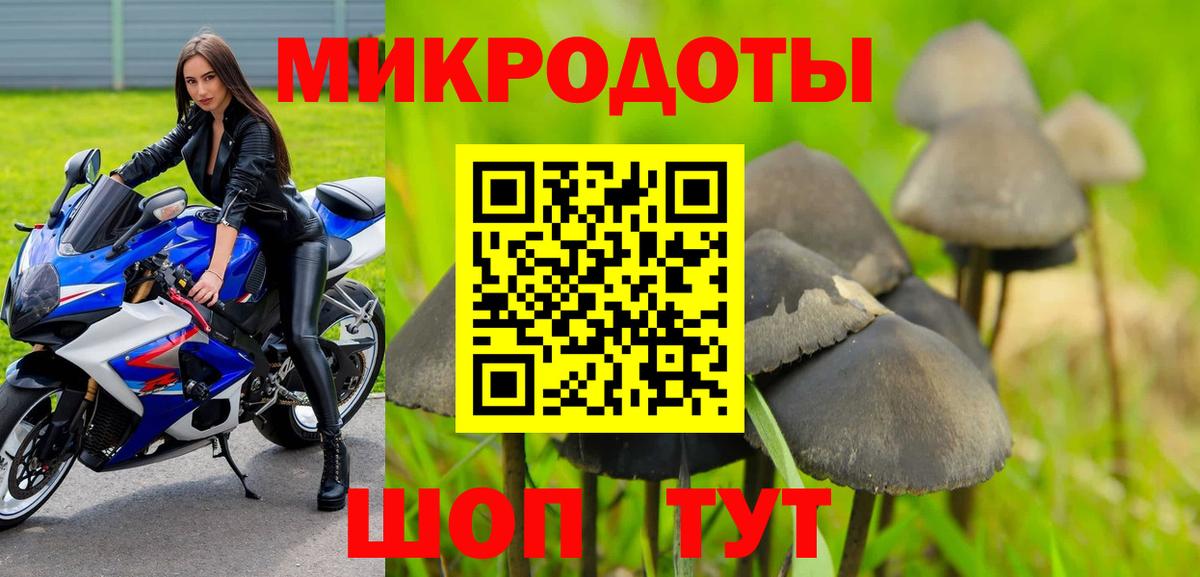Северобайкальск  Псилоцибиновые грибы Psilocybine cubensis  Вход с VPN  где продают наркотики  Галлюциногенные грибы MAGIC MUSHROOMS 