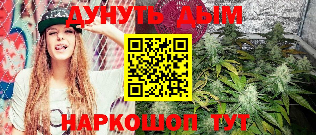 Марихуана SATIVA & INDICA Северобайкальск